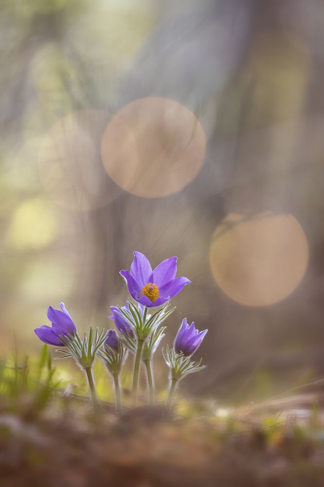 Photograph by Кузнецов Дмитрий