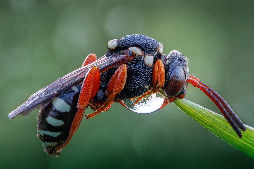 Photograph by Кузнецов Дмитрий