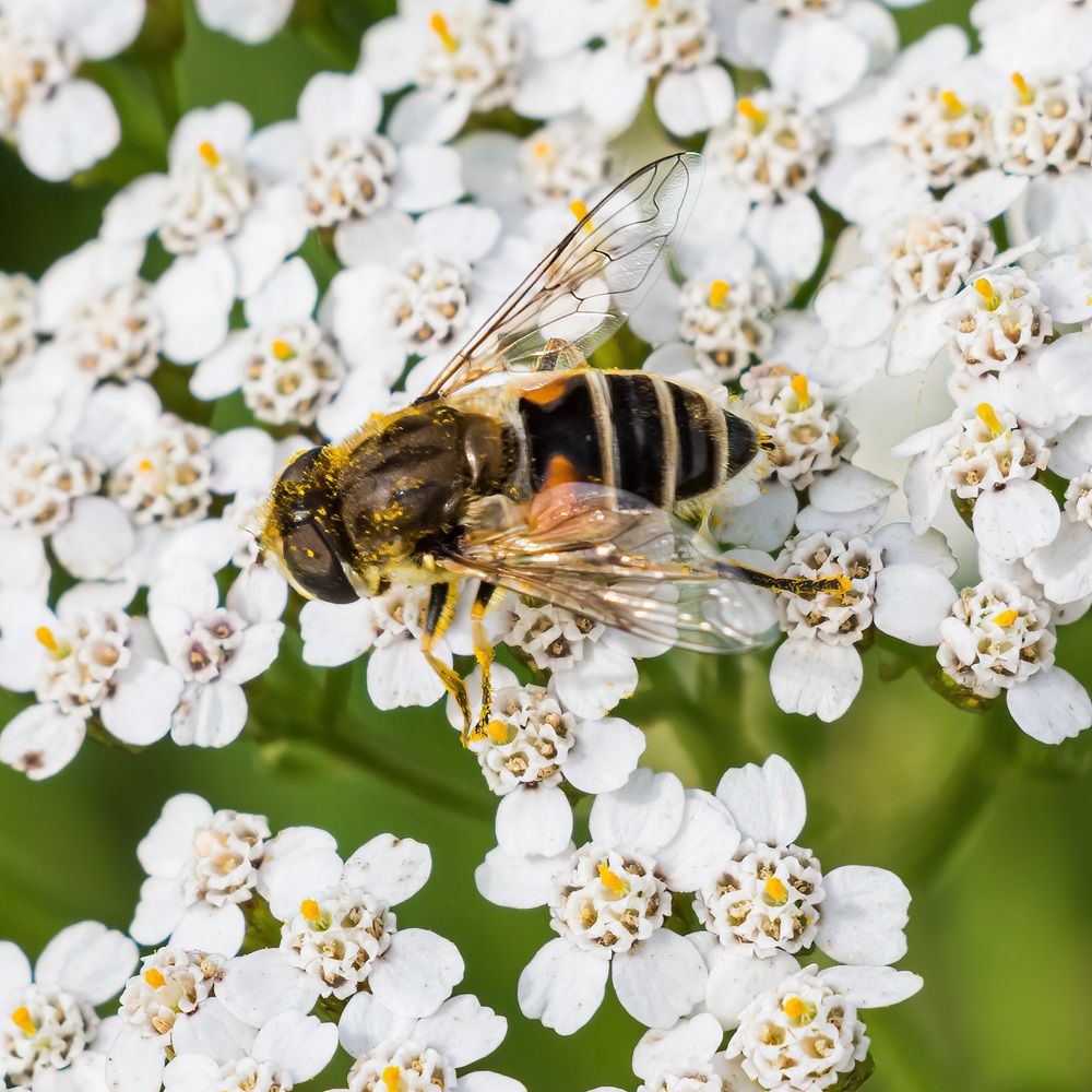 Photograph by Victor Shaposhnikov