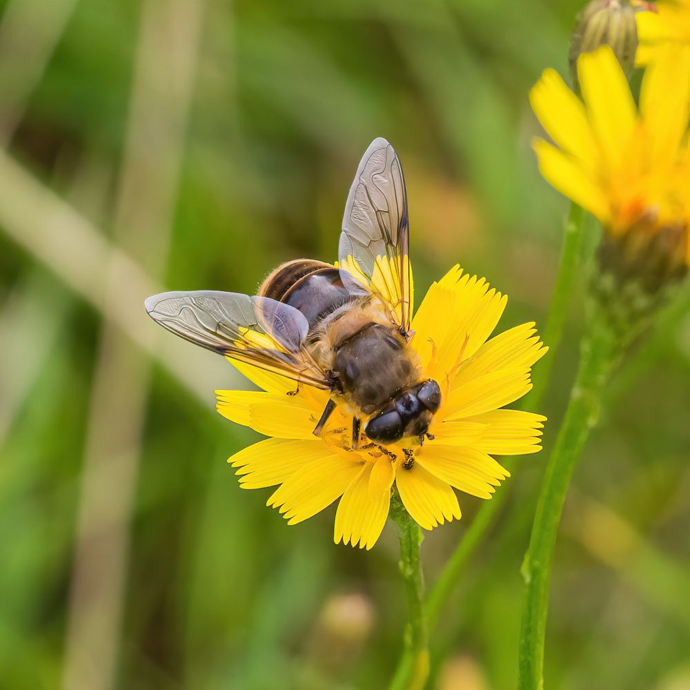 Photograph by Victor Shaposhnikov
