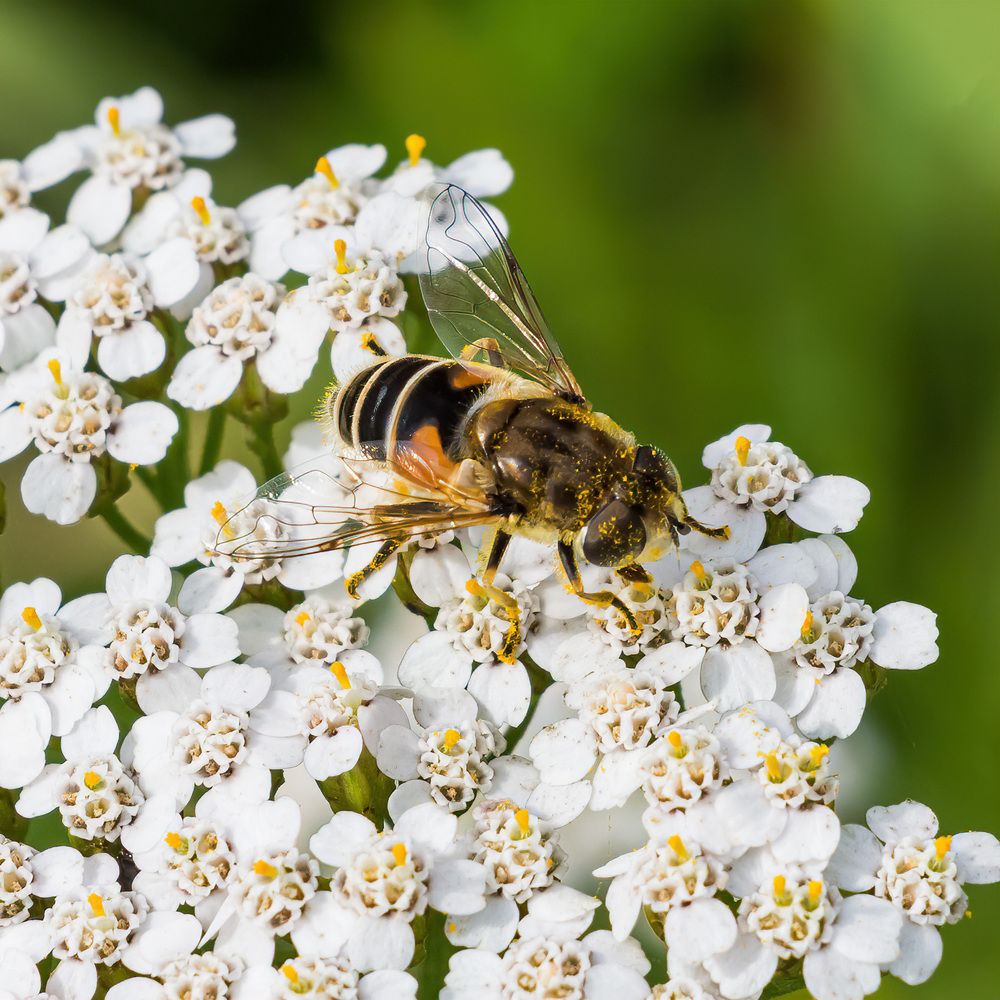 Photograph by Victor Shaposhnikov
