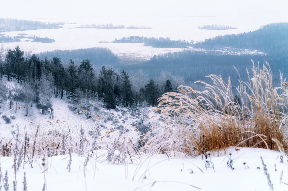 Photograph by Анастасия Глазюк