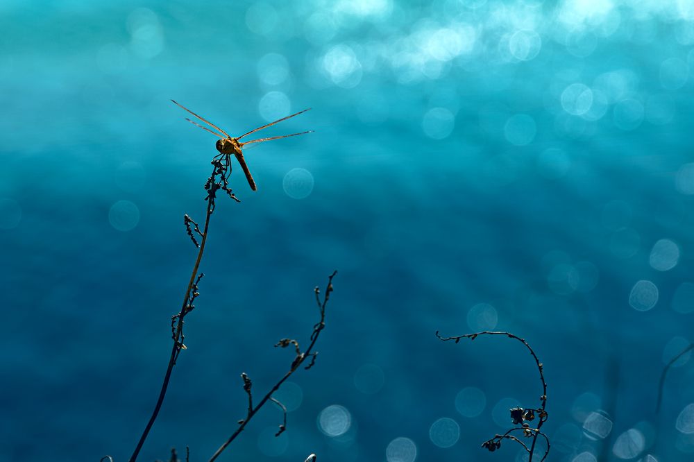 Это лишь передышка в пути
