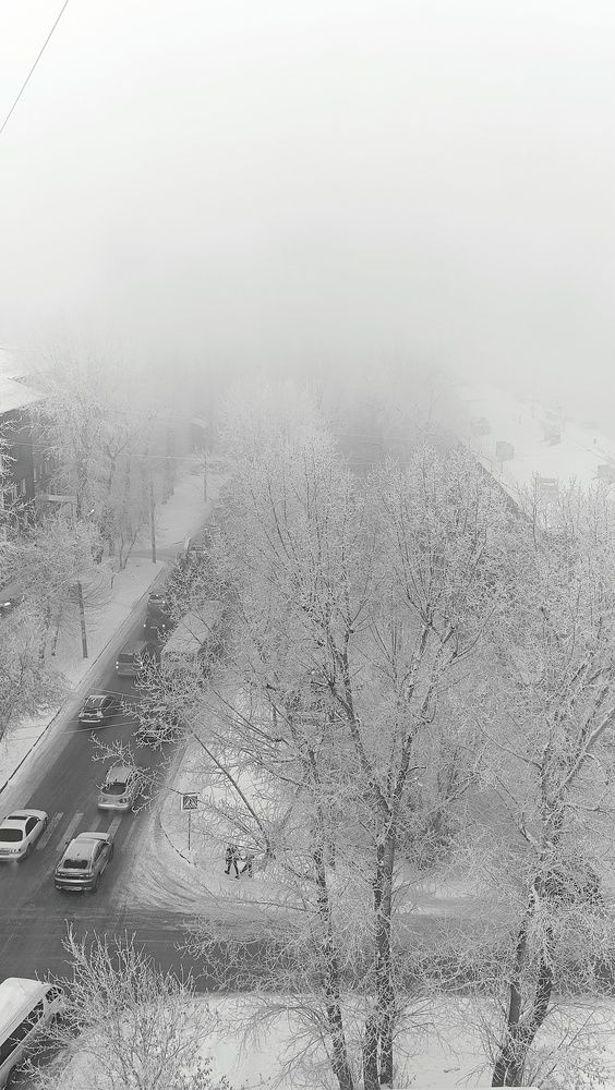 Зима в городе