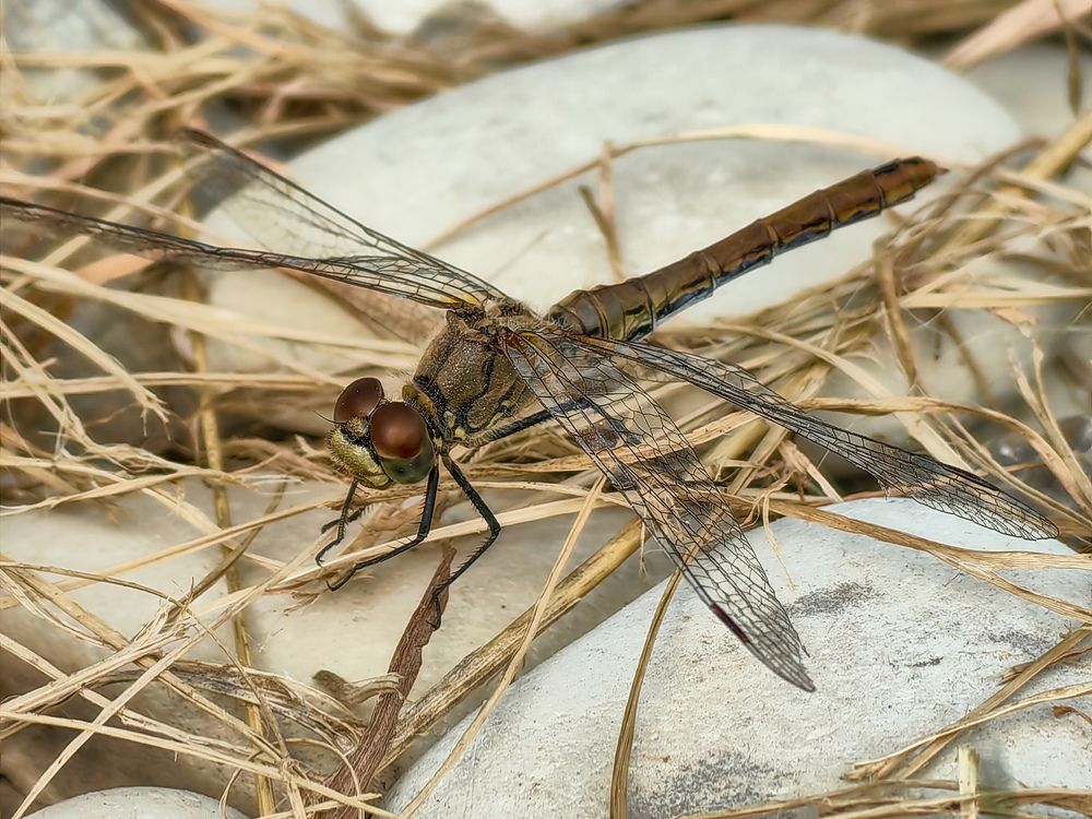 Photograph by Сергей Игнатьев