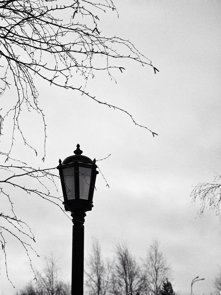 Photograph by Татьяна Небрат