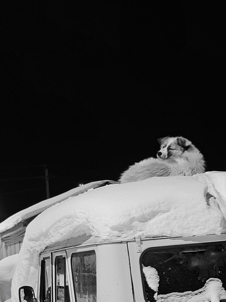 Photograph by Татьяна Небрат