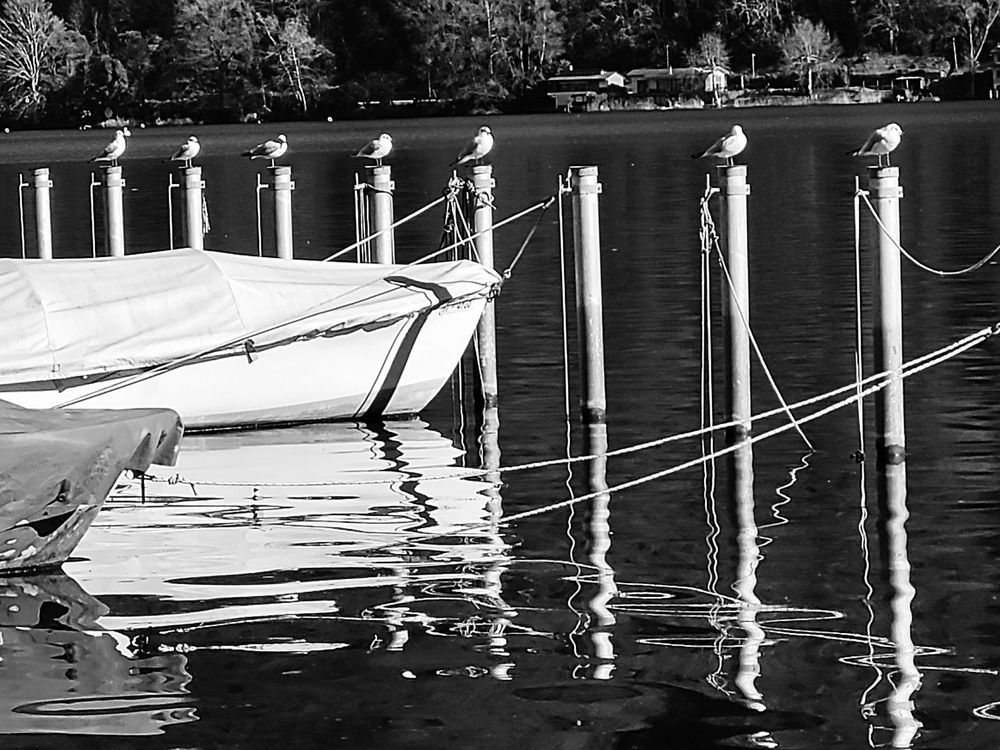 Photograph by Catherine Walter-Prêtre