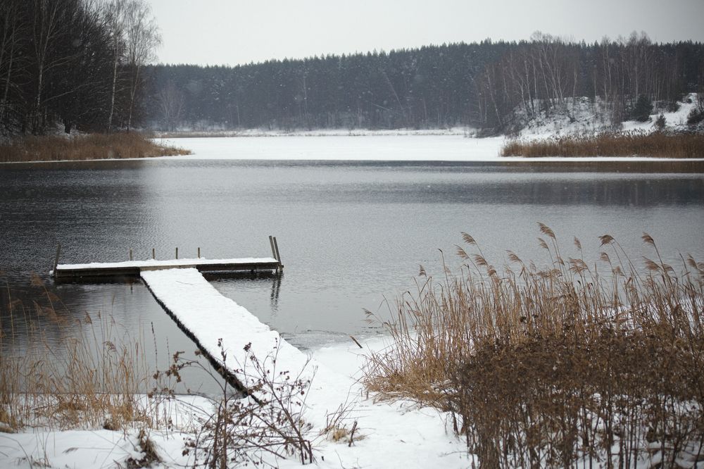 Photograph by Дарья Улюсова