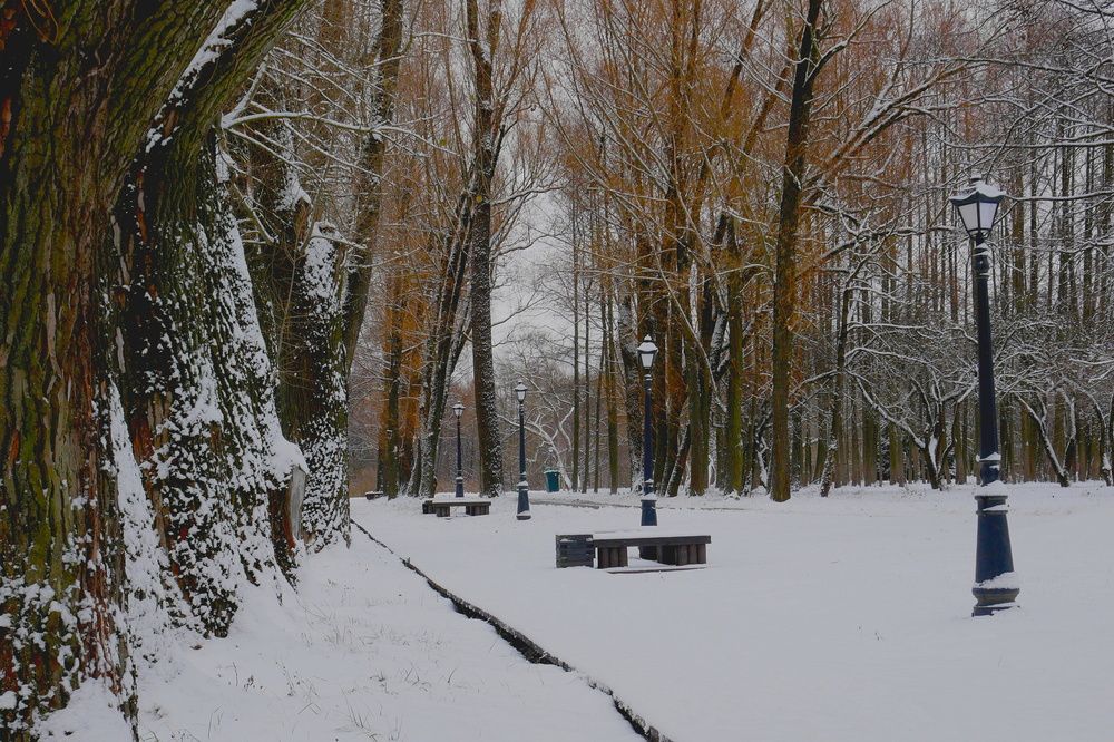 Photograph by Наталья Лобанова