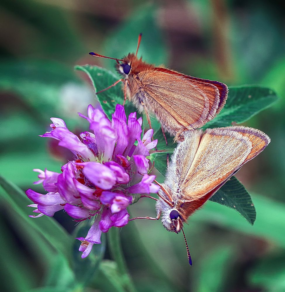 Фотография автора Александр