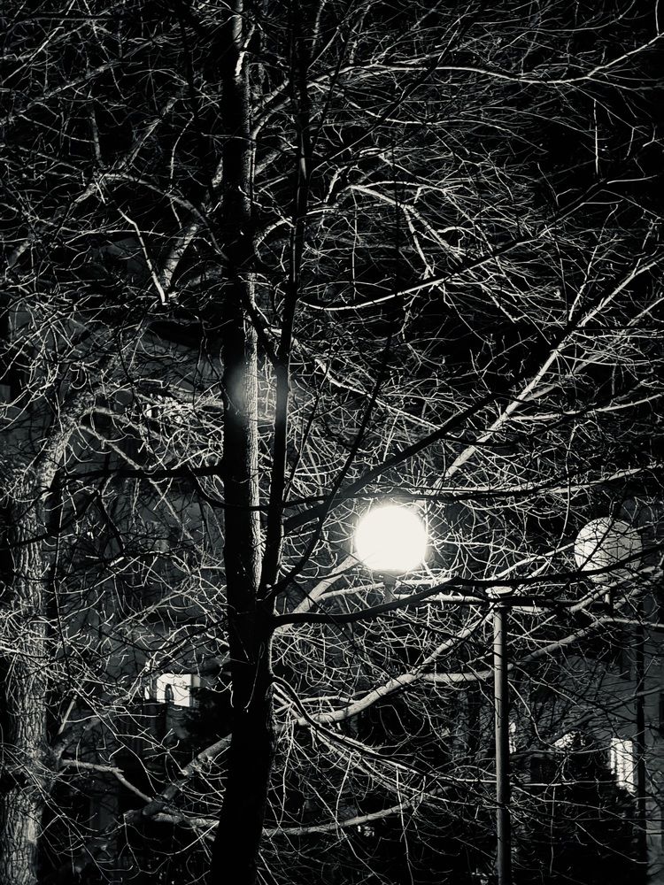 Photograph by Павел Арсенович