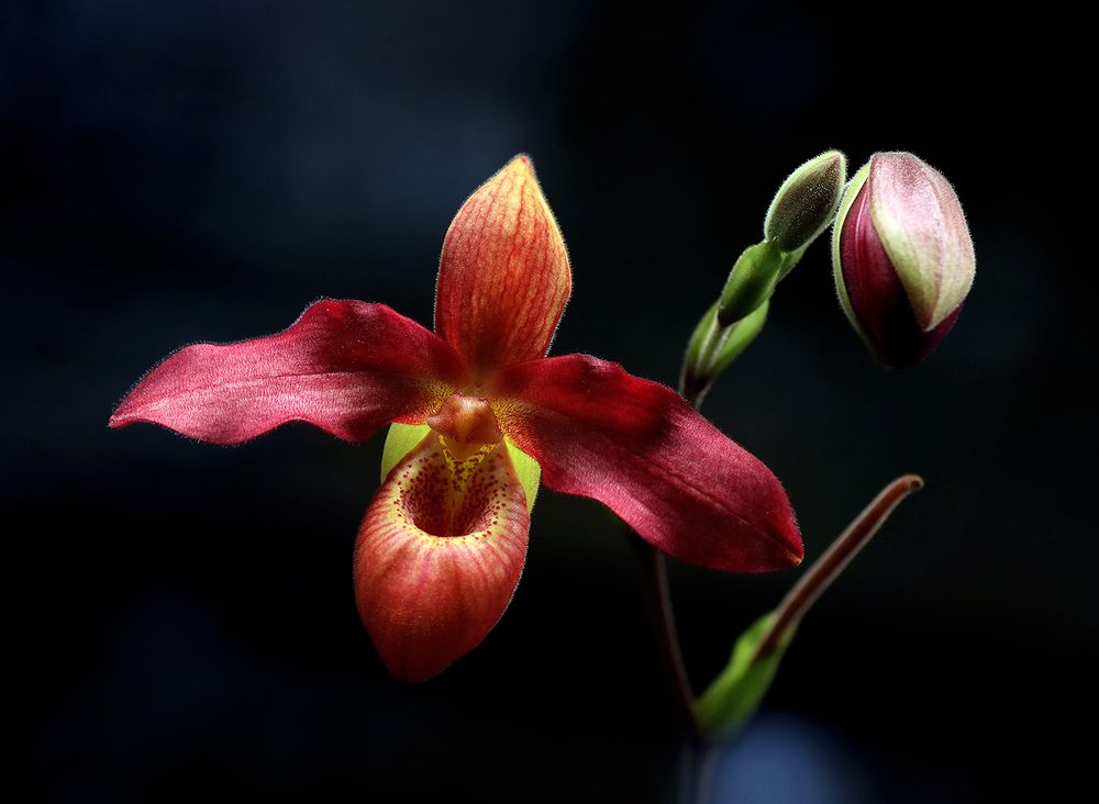 Фотография автора Кулешов Сергей