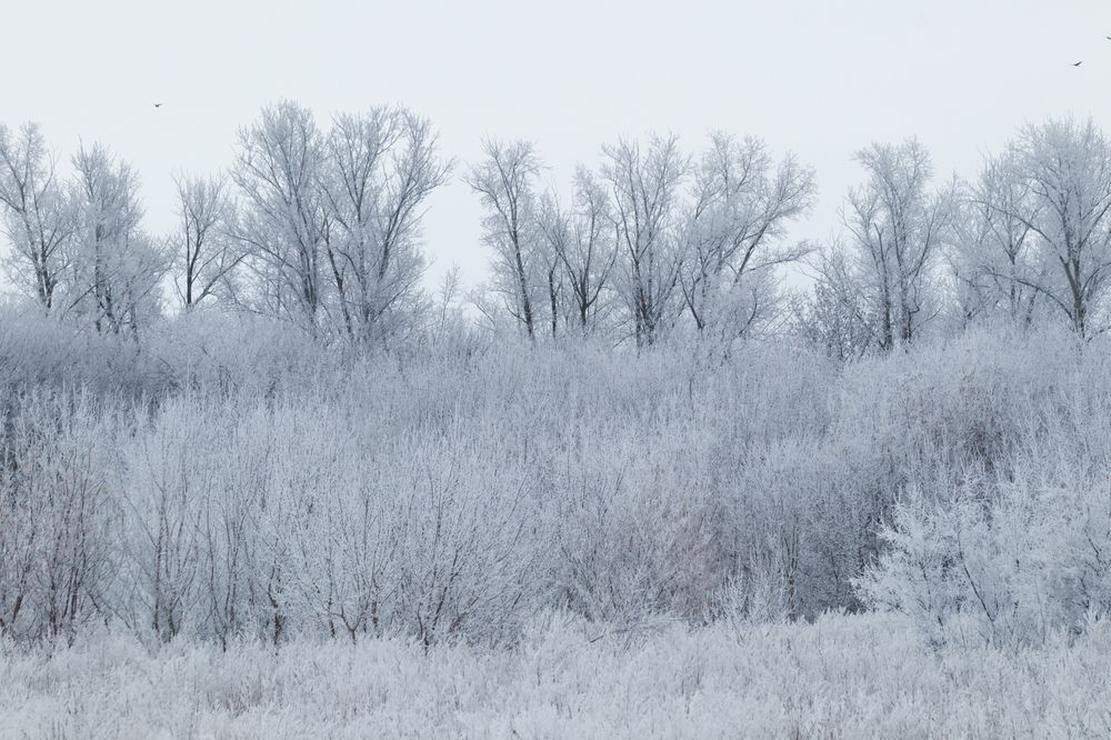 Photograph by Евгения