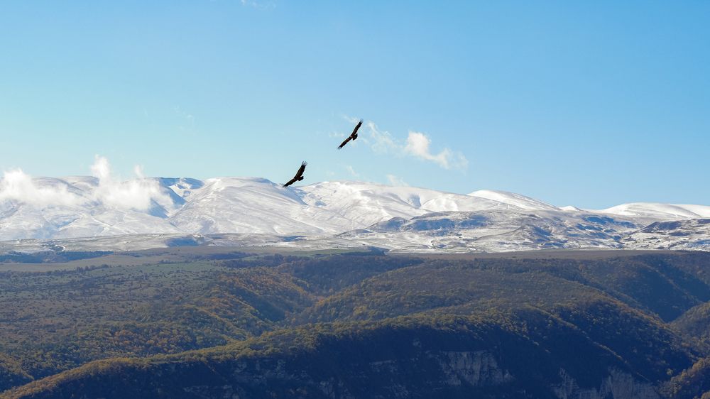 Photograph by Наталия Дмитриева