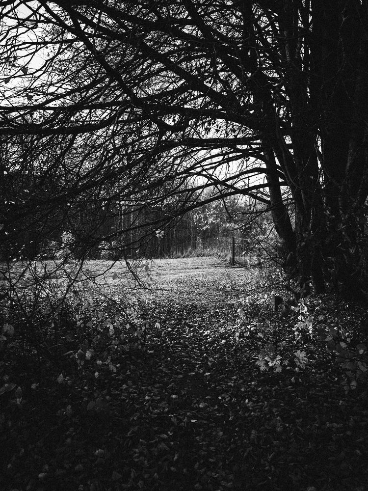 Photograph by Сергей Макаров