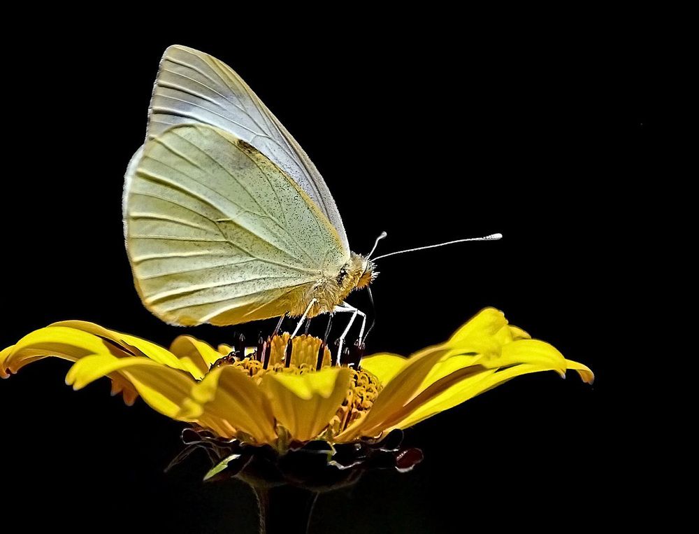 Фотография автора Александр