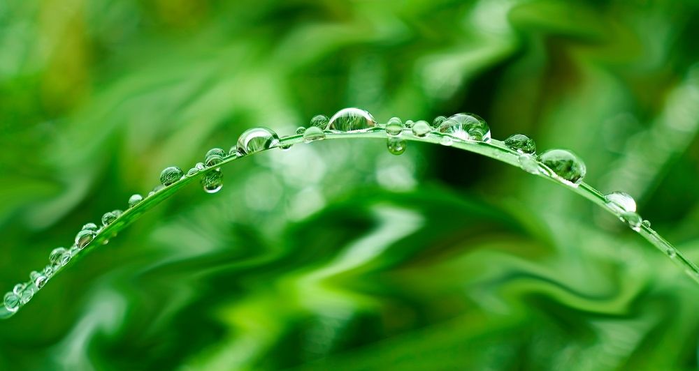 Мостик лета...