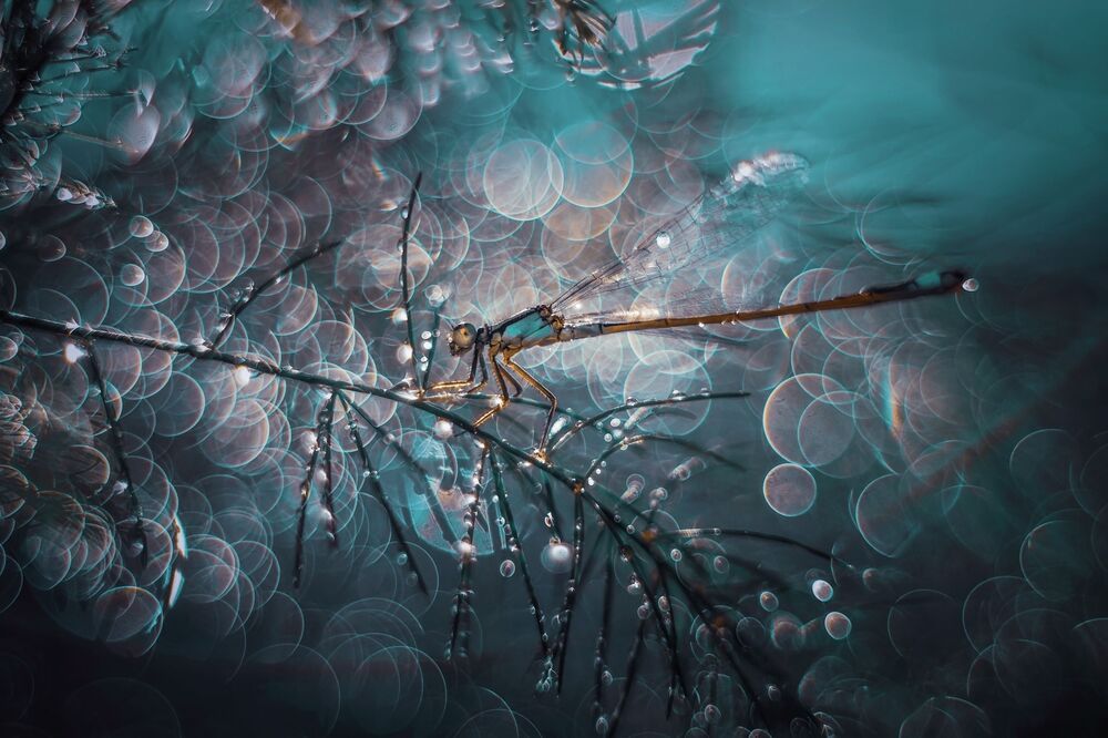 Photograph by Лапшина Владлена