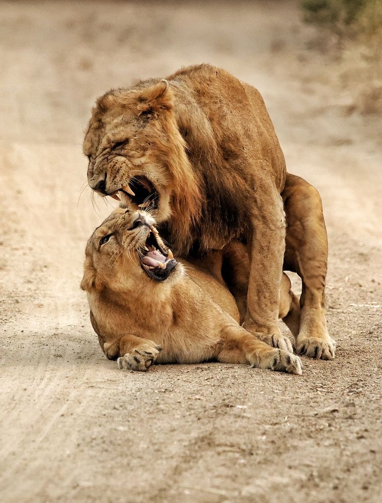 Photograph by Nirav Mehta