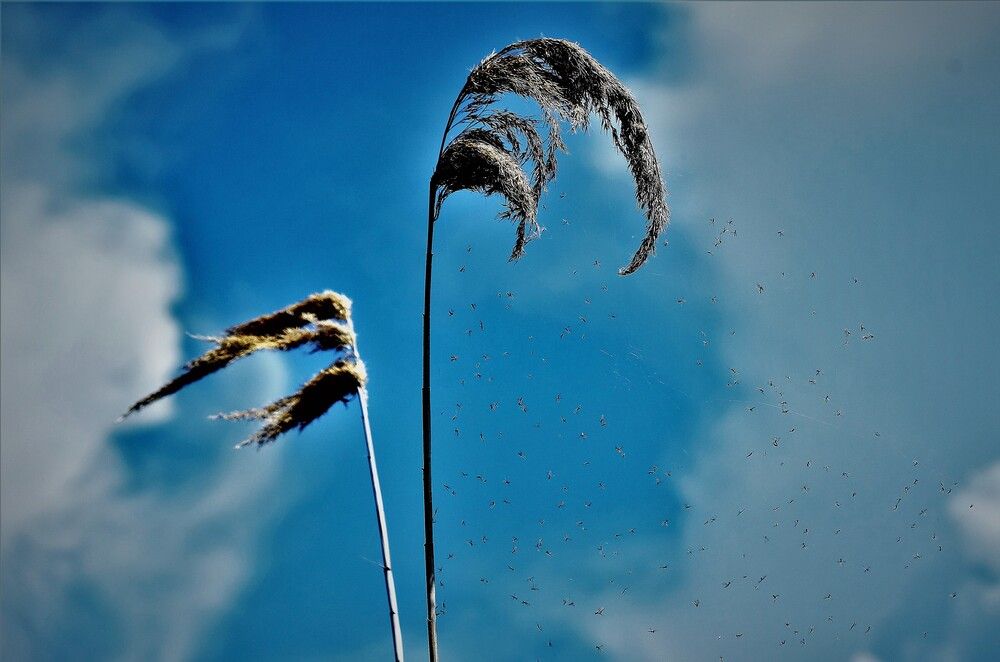 Photograph by Effie Zacharia