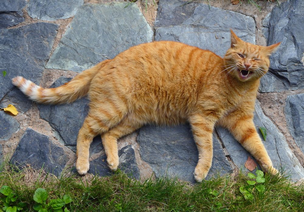 Photograph by Кошелев Koshelev