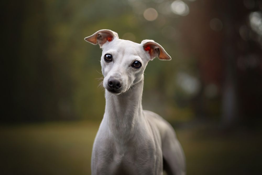 Photograph by Dorota Hnatová