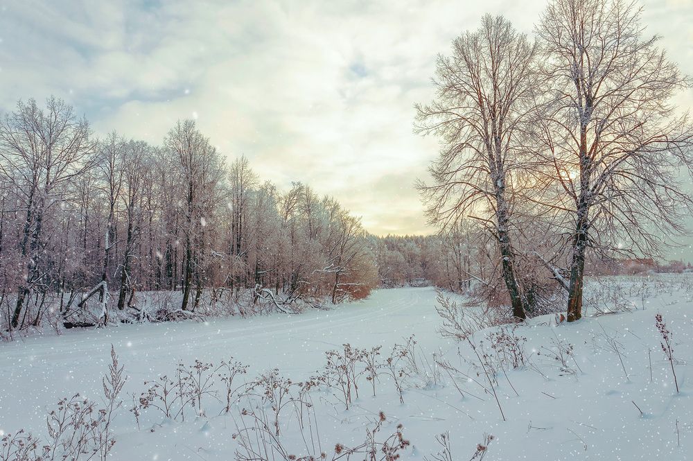 Photograph by Светлана Иванова