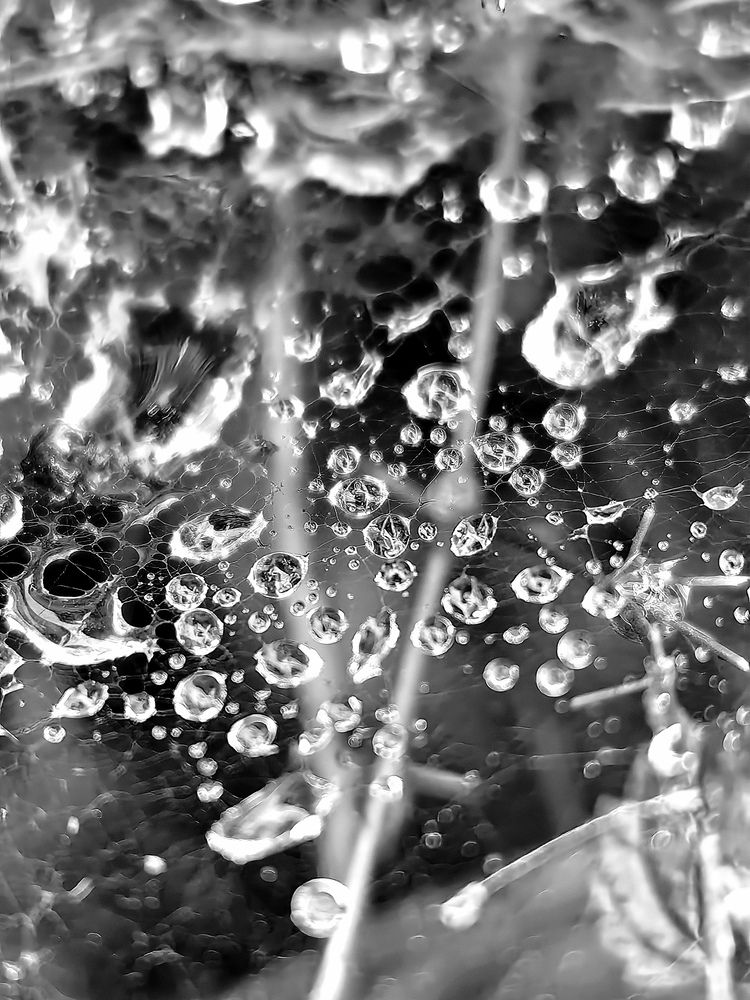 Photograph by Анастасия Доронкина