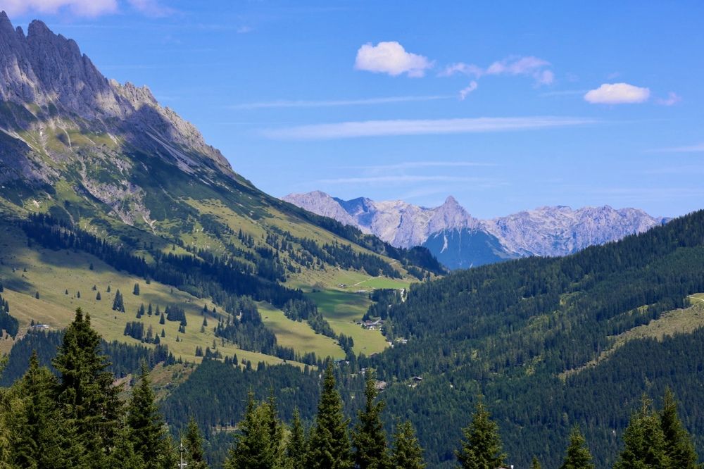 Photograph by Виктория Янушанис