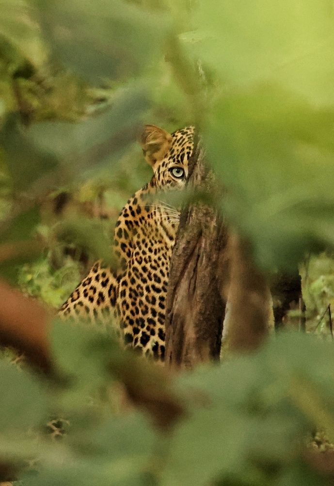 Photograph by Nirav Mehta