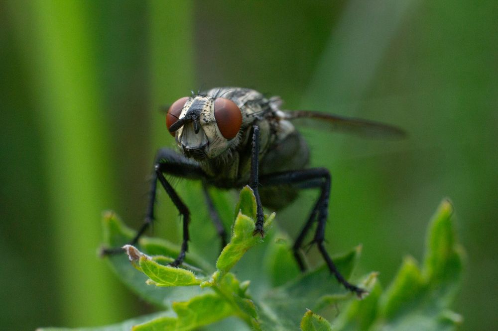 Photograph by Дарья Улюсова