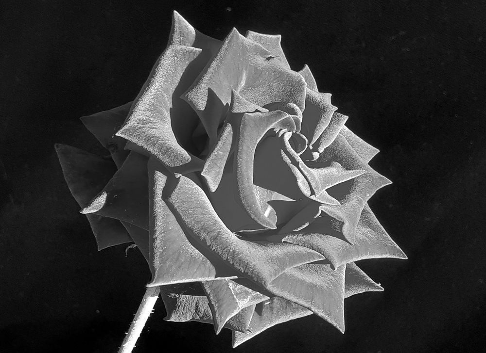 Photograph by Виктор Решетников