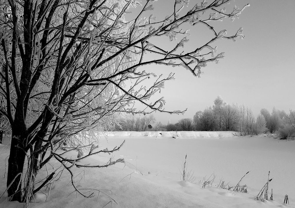 Photograph by Виктор Решетников