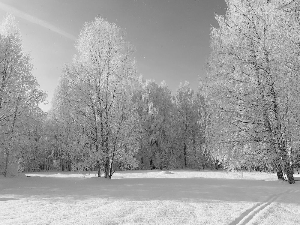 Photograph by Виктор Решетников