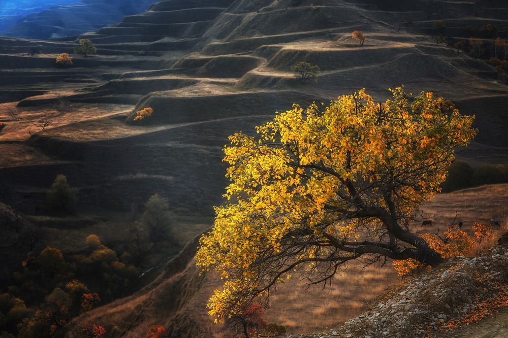 Photograph by Андрей Ершов