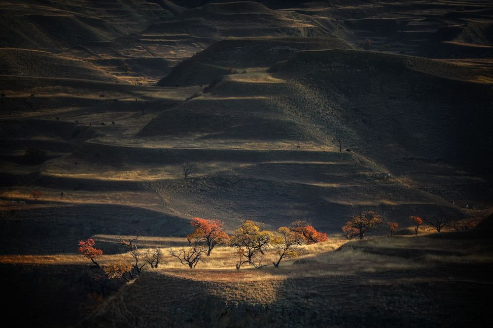 Photograph by Андрей Ершов