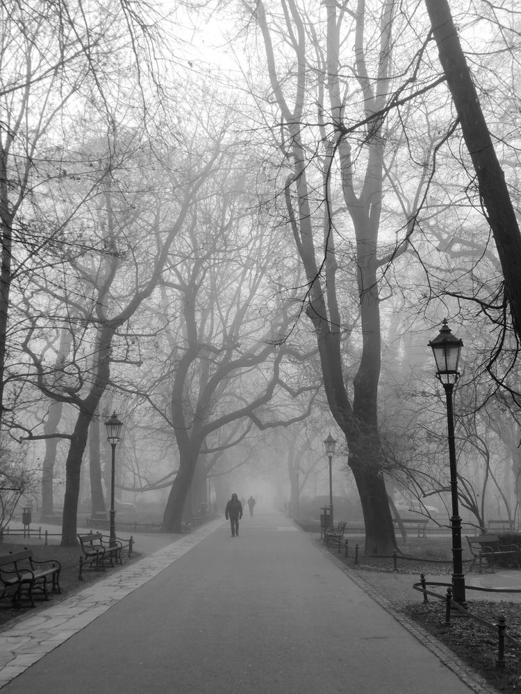 Photograph by Paulina Michałowska