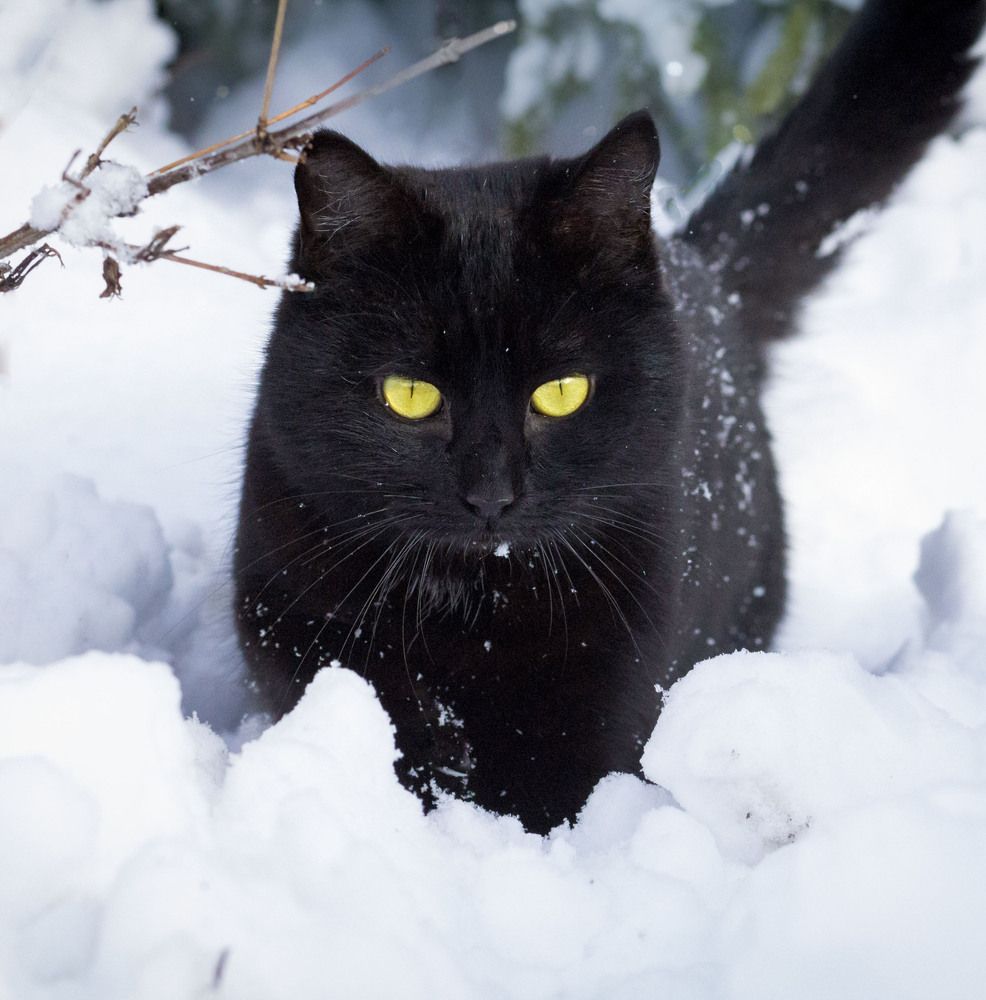 Photograph by Зимина Лионелла