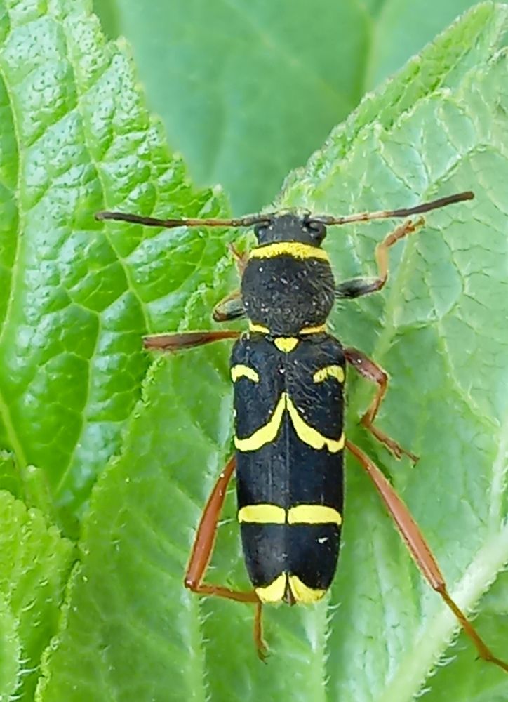 Photograph by Елена Коробченко