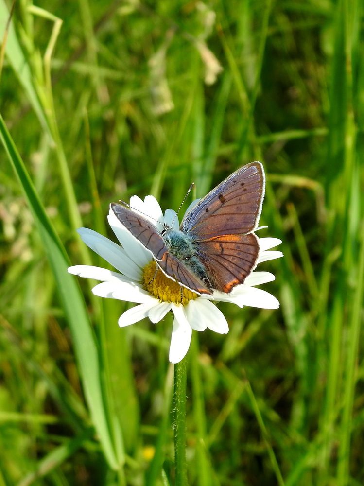 Photograph by Олеся Дейнеко