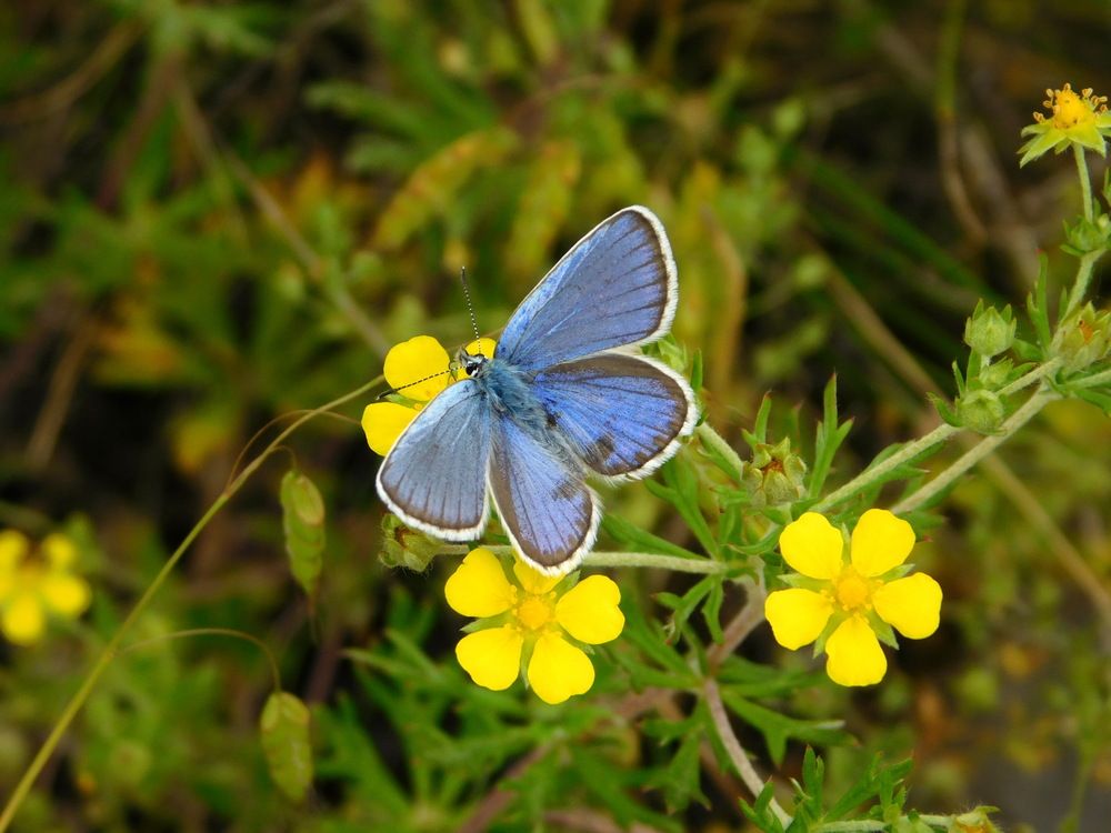 Photograph by Олеся Дейнеко