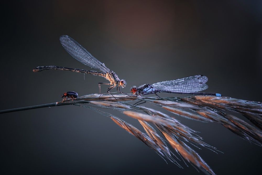 Photograph by Лапшина Владлена