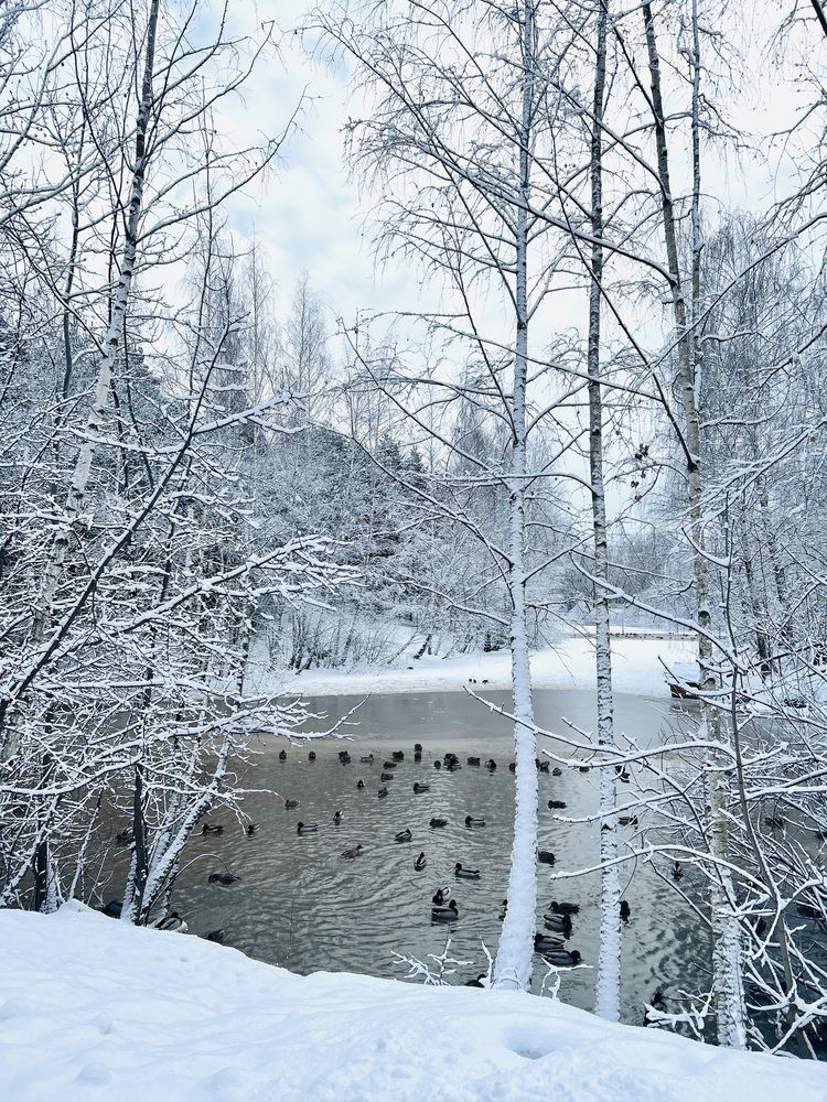 Photograph by Оксана Чиняева