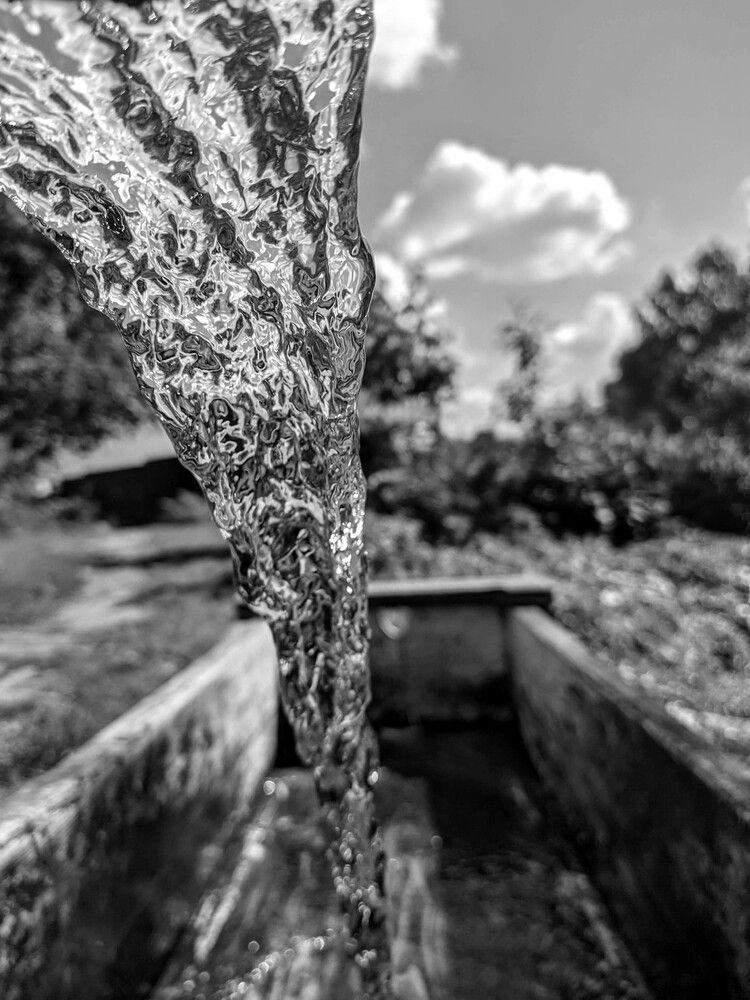 Фотография автора IRINA FILIPPOVA