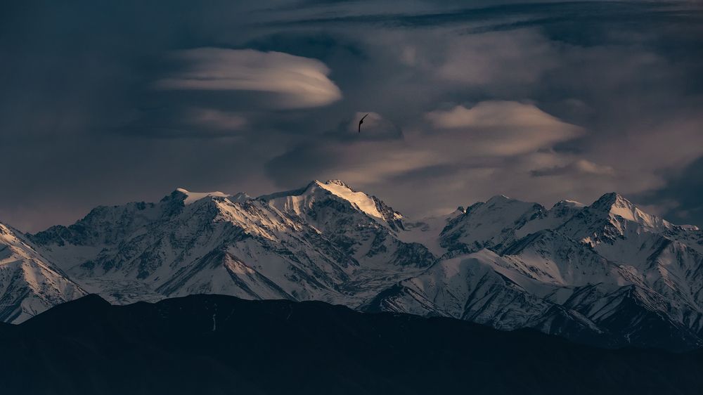 Инопланетный десант