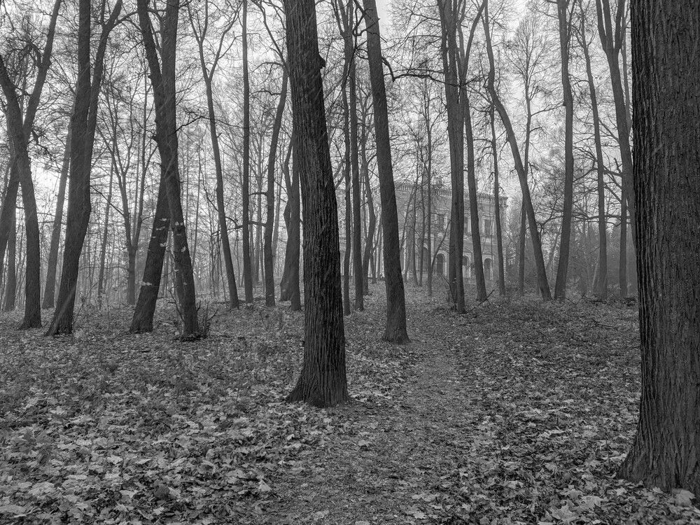 Фотография автора IRINA FILIPPOVA