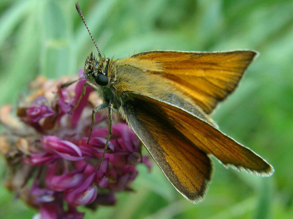 Фотография автора Павел Попов