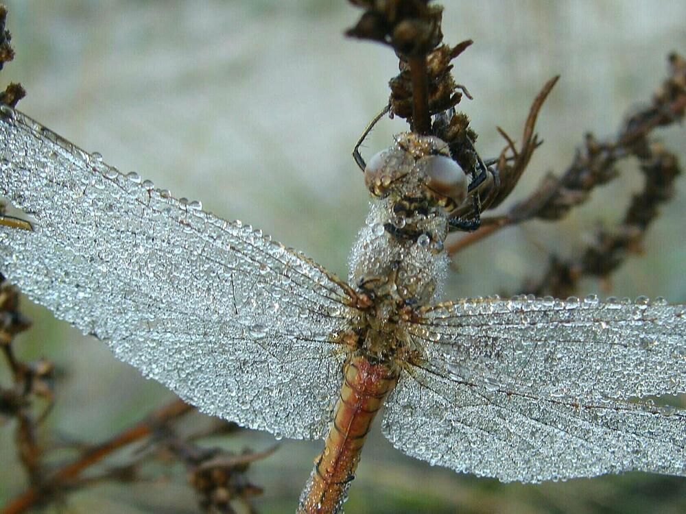 Фотография автора Павел Попов