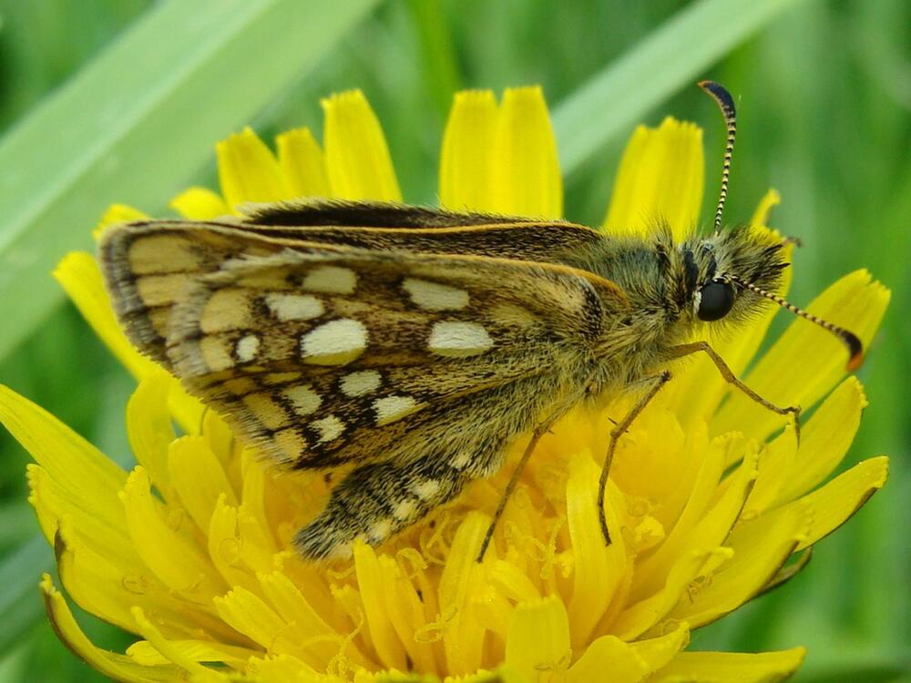 Фотография автора Павел Попов